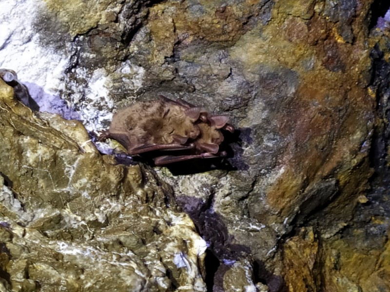 - 64 - Nekecej a přitul se, jdeme spát.jpg